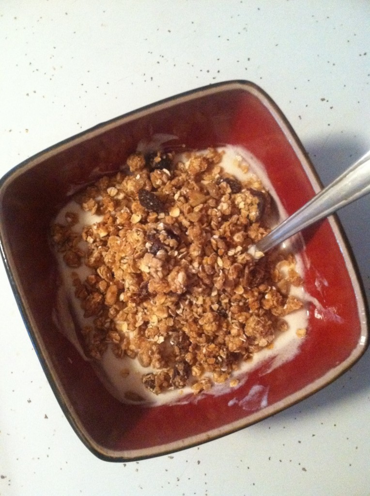 A delicious snack, served with yogurt. 