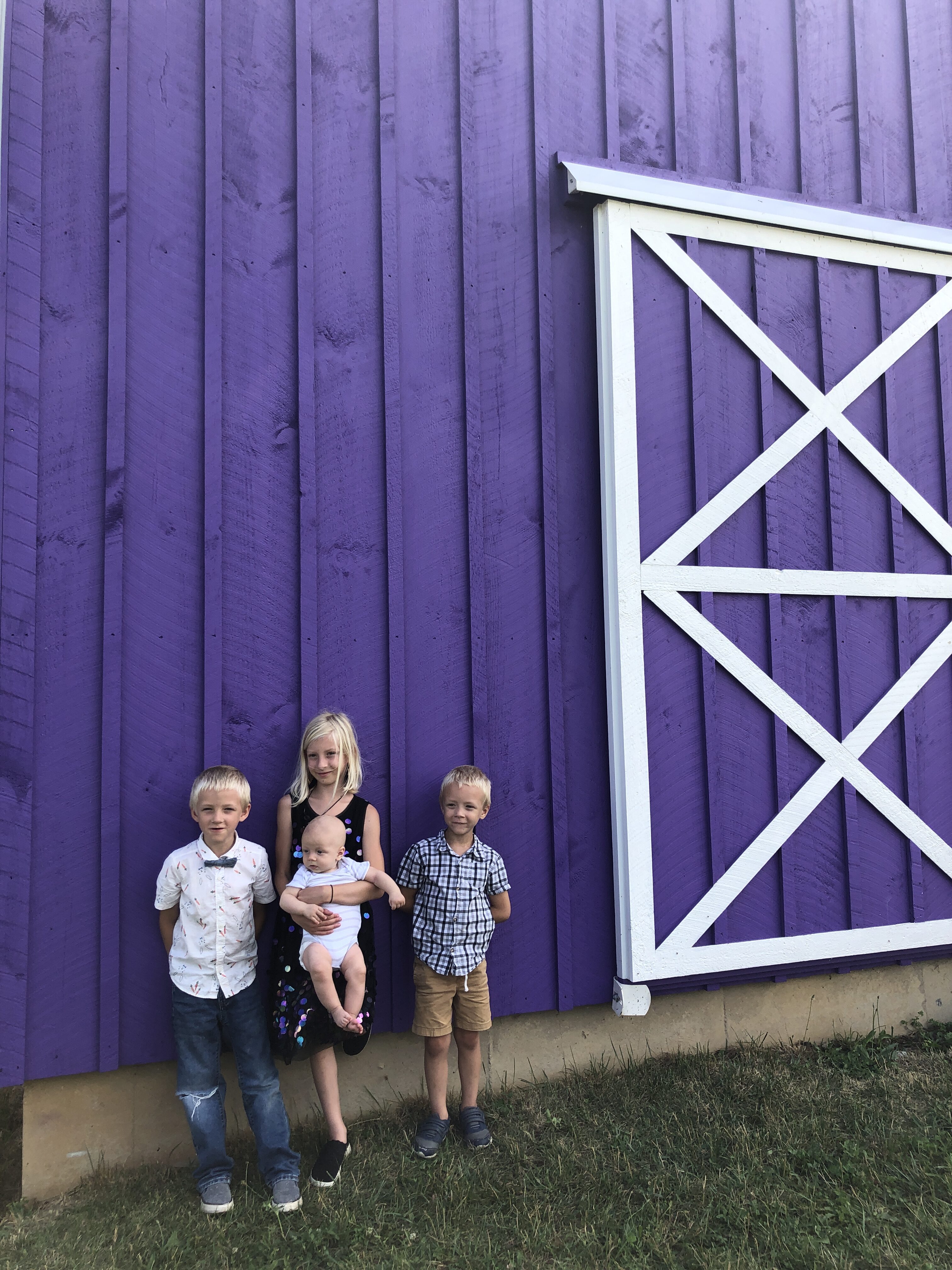 Enon Lavender Farm The Glorious Mundane